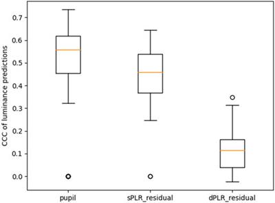 Attenuation of the dynamic pupil light response during screen viewing for arousal assessment